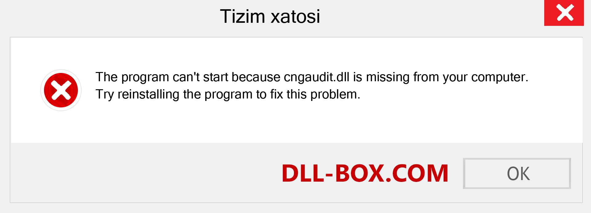 cngaudit.dll fayli yo'qolganmi?. Windows 7, 8, 10 uchun yuklab olish - Windowsda cngaudit dll etishmayotgan xatoni tuzating, rasmlar, rasmlar